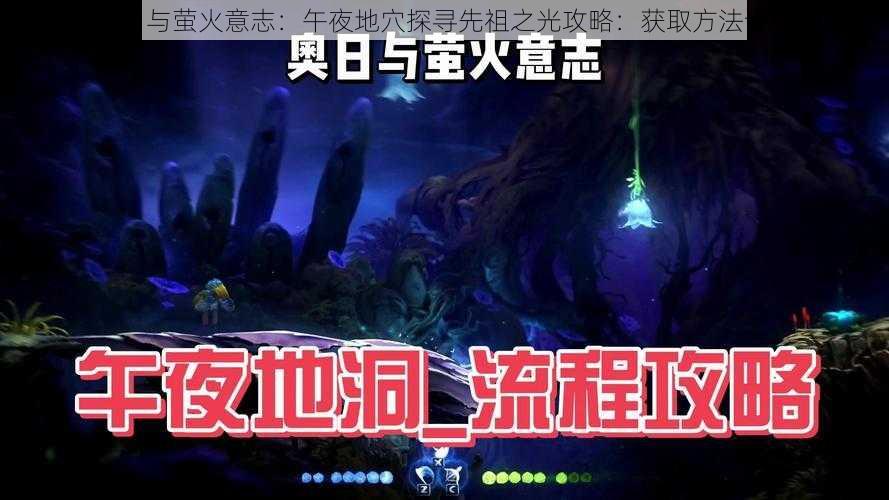 奥日与萤火意志：午夜地穴探寻先祖之光攻略：获取方法详解