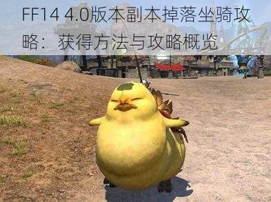 FF14 4.0版本副本掉落坐骑攻略：获得方法与攻略概览